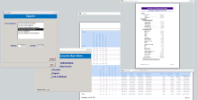 Microsoft Access and SQL Server Development